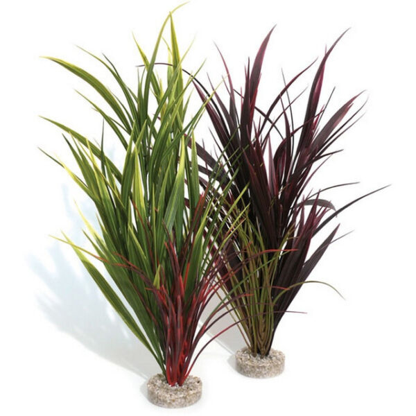 Rosewood Sydeco Giant Wild Grass