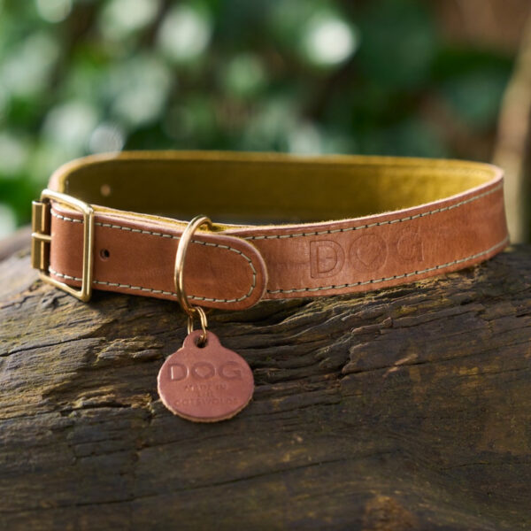 DOG Walnut & Moss Leather Collar - Image 4