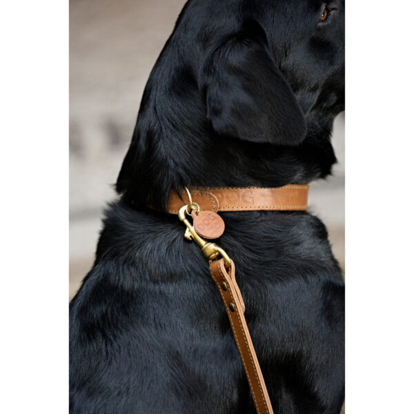 DOG Walnut & Moss Leather Collar - Image 3