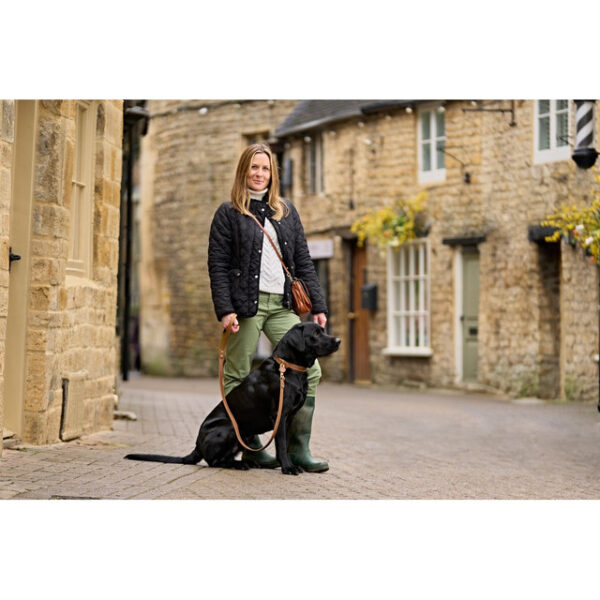 DOG Walnut & Moss Leather Collar - Image 2
