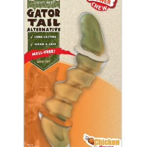 Nylabone® Gator Tail Alternative Power Chew Dog Toy - Chicken Flavor