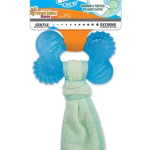 Nylabone® Teething Puppy Chew Freezer Bone Dog Toy - Peanut Butter Flavor