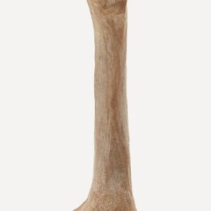 Joyhound Boss Bones Femur Chew Dog Toy