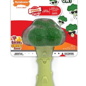 Nylabone® Power Chew Broccoli "Brocc' On!" Dog Toy - Bacon & Cheese Flavor