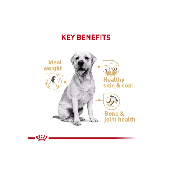 Royal Canin® Breed Health Nutrition® Labrador Retriever Breed Specific Adult Dog Dry Food - 30 lb - Image 4