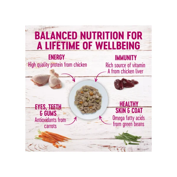 Wellness® Petite Entrees Small All Life Stage Wet Dog Food - Grain Free - Image 3