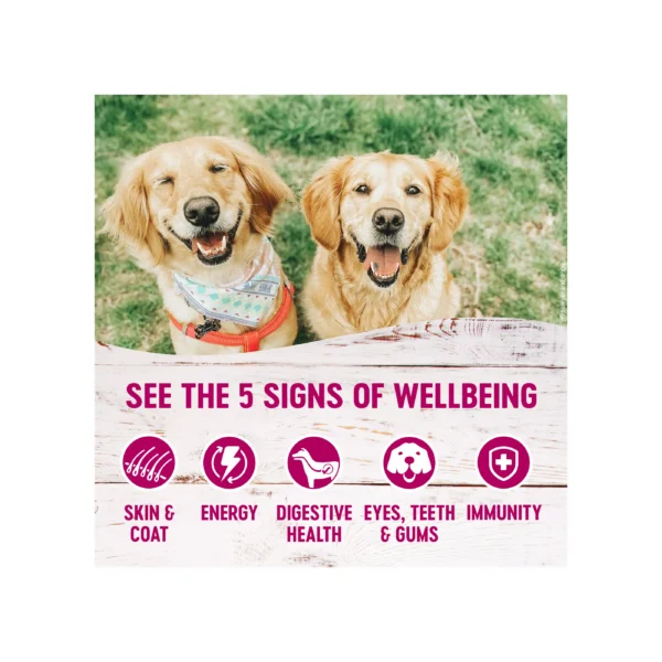 Wellness® Petite Entrees Small All Life Stage Wet Dog Food - Grain Free - Image 4