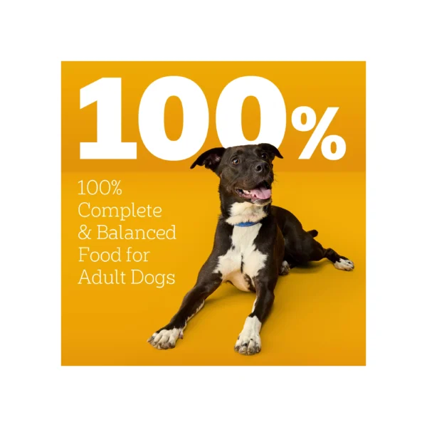 Pedigree® High Protein Adult Dry Dog Food - Lamb & Beef - Image 4