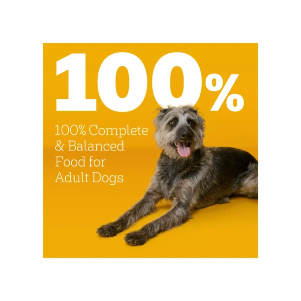 Pedigree® Tender Bites Adult Dry Dog Food - Chicken & Steak - Image 4