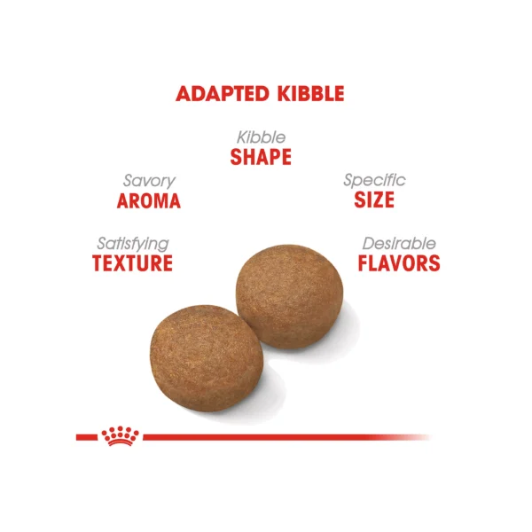 Royal Canin Size Health Nutrition Large Breed Adult Dry Dog Food - Image 3