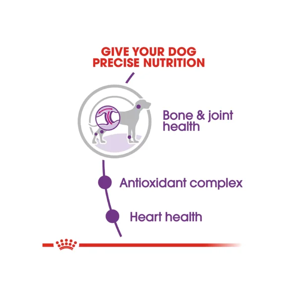 Royal Canin Size Health Nutrition Giant Breed Adult Dog Dry Food - 30 lb - Image 4