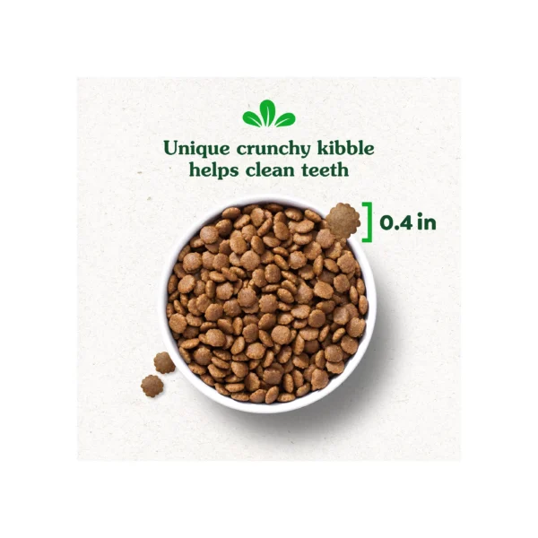 Greenies Smart Essentials Puppy High Protein Dry Dog Food Chicken & Brown Rice Recipe, 13.5 lb. Bag - Image 3