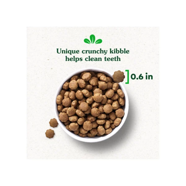 Greenies Smart Essentials Adult Large Breed High Protein Dry Dog Food Chicken & Rice, 15 lb. Bag - Image 3