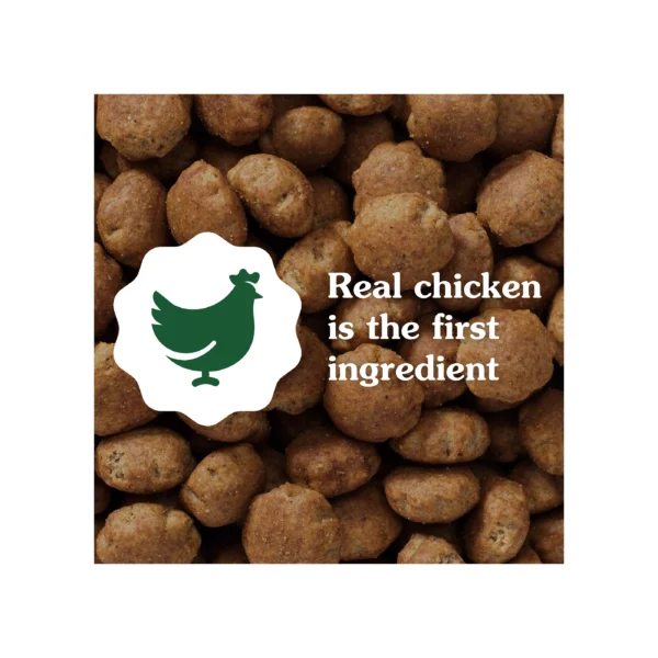 Greenies Smart Essentials Adult Large Breed High Protein Dry Dog Food Chicken & Rice, 15 lb. Bag - Image 4