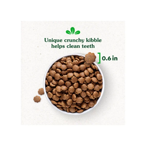 Greenies Smart Essentials Adult High Protein Dry Dog Food Real Chicken & Rice Recipe, 30 lb. Bag - Image 3