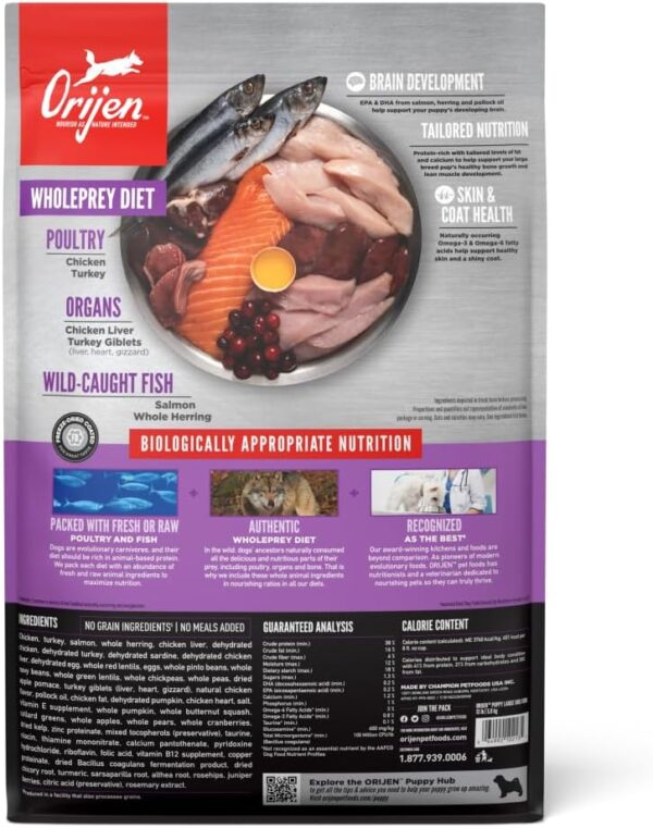 ORIJEN Puppy Large Dry Dog Food, Grain Free Dry Dog Food for Puppies, Fresh or Raw Ingredients, 13lb - Image 2