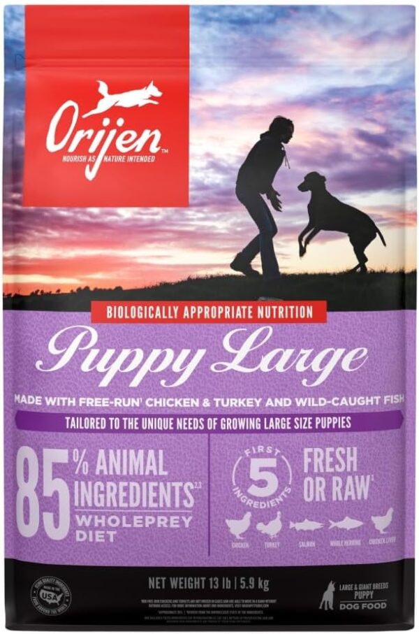 ORIJEN Puppy Large Dry Dog Food, Grain Free Dry Dog Food for Puppies, Fresh or Raw Ingredients, 13lb