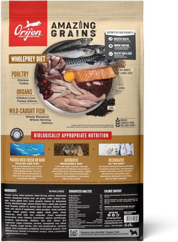 ORIJEN Amazing Grains Puppy Dry Dog Food, High Protein Dog Food for Puppies, Fresh or Raw Ingredients, 22.5lb - Image 2