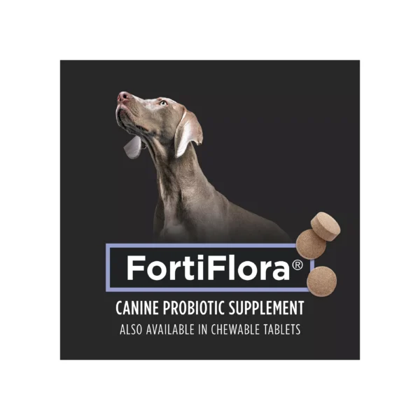 Purina® Pro Plan® Veterinary Supplements FortiFlora-Probiotic Powder Supplement for Dogs - 30 Count - Image 4
