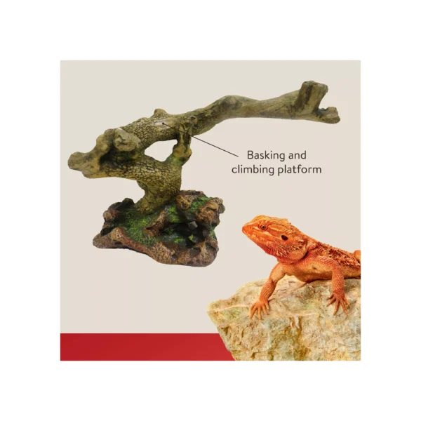 Thrive Twigs & Rock Reptile Decor - Image 2