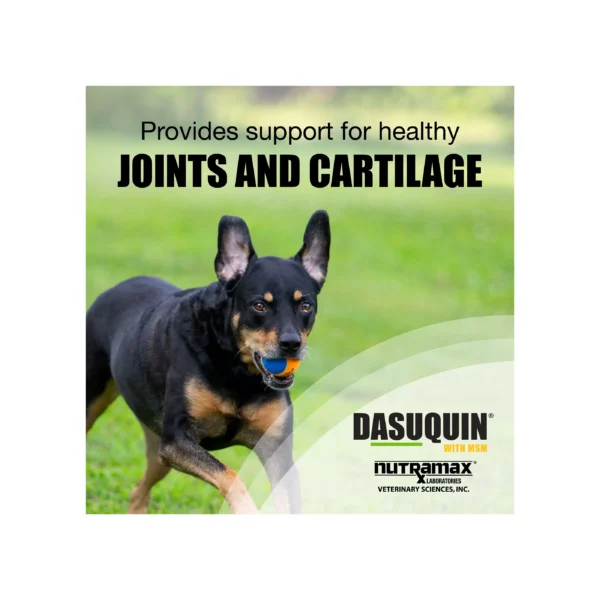 Nutramax® Dasuquin® with MSM - Soft Chew Joint Health Supplement for Large Dogs - 84 Count - Image 4