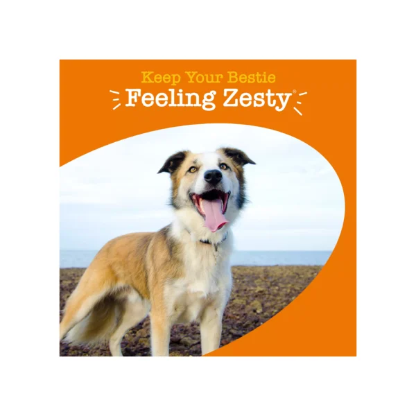 Zesty Paws 8-in-1 Multivitamin Supplement for Dogs - Chicken Flavored Soft Chews - 90 Count - Image 3