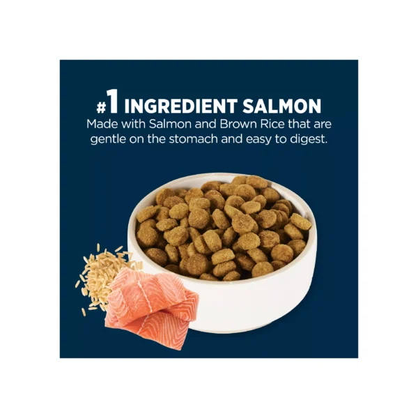 Authority® Sensitive Stomach & Skin All Life Stages Dry Dog Food - Salmon & Rice - Image 3