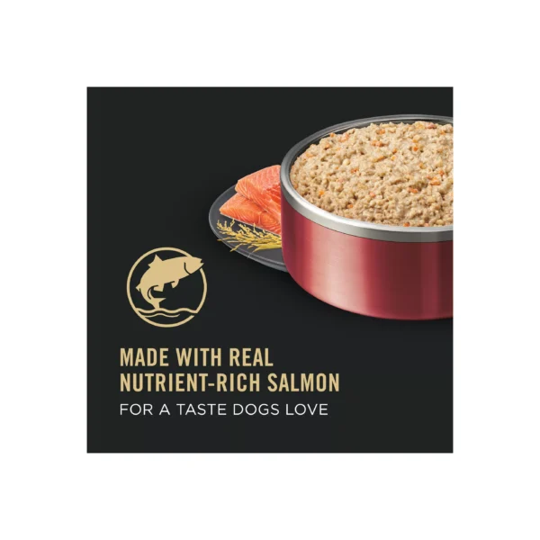 Purina Pro Plan Sensitive Skin & Stomach Adult Wet Dog Food - Salmon & Rice, 13 oz - Image 2