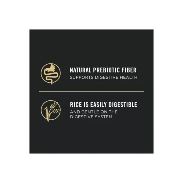 Purina Pro Plan Sensitive Skin & Stomach Adult Wet Dog Food - Salmon & Rice, 13 oz - Image 3