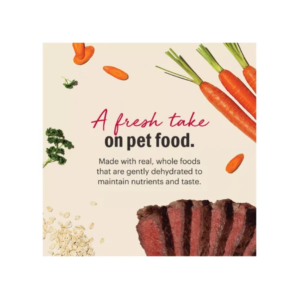 The Honest Kitchen Whole Grain Dehydrated Adult Dog Food - Beef - Image 2