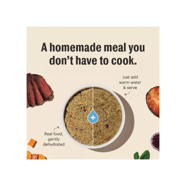 The Honest Kitchen Whole Grain Dehydrated Adult Dog Food - Beef - Image 3